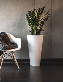 Della donica biel, 40x75cm