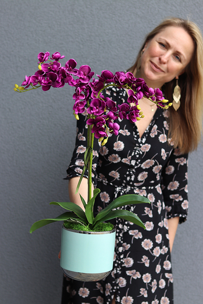 różowy storczyk Lukrecja, wys.60cm