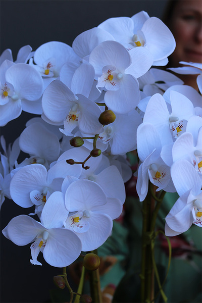 elegancki biały storczyk w ceramicznej donicy, Ronella, wys.64cm 