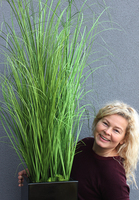 kompozycja w czarnej donicy fiberglass Simple Black, wym.115cm