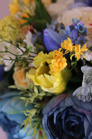 Bonitte Blue, flowerbox w wiosennej kolorystyce, wys.30cm