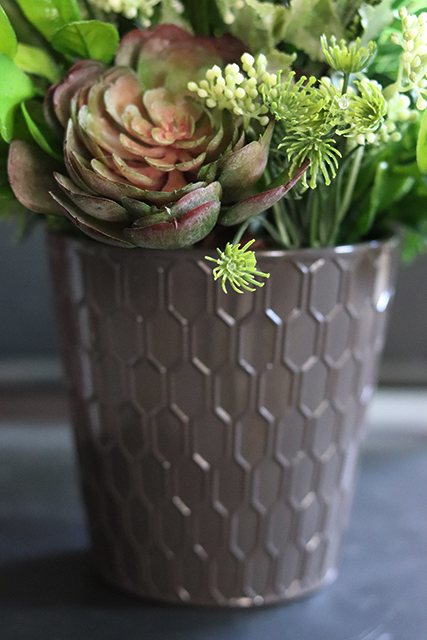 atrakcyjna kompozycja sukulenty Millani, wys.38cm