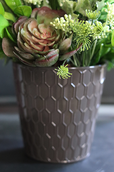 atrakcyjna kompozycja sukulenty Millani, wys.38cm