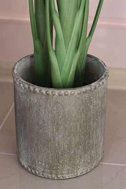 oryginalna kompozycja Strelicja La Luna, wys.110cm