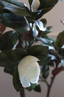 Drzewko Magnolia, sztuczne drzewo z gumowymi kwiatami, wys.174cm 