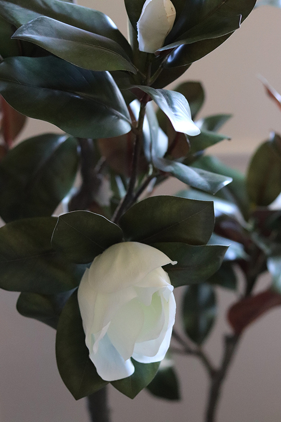 Drzewko Magnolia, sztuczne drzewo z gumowymi kwiatami, wys.174cm 