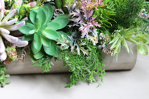 kompozycja sukulenty w długiej donicy, Hektor Togalla, dł.70cm  