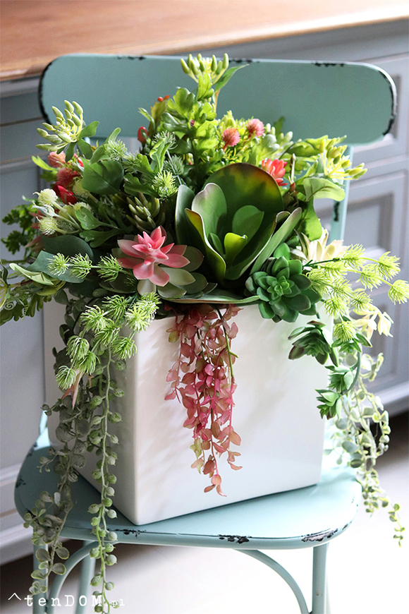 Concha Cacti, sukulenty w donicy fiberglass, wym.50x40cm