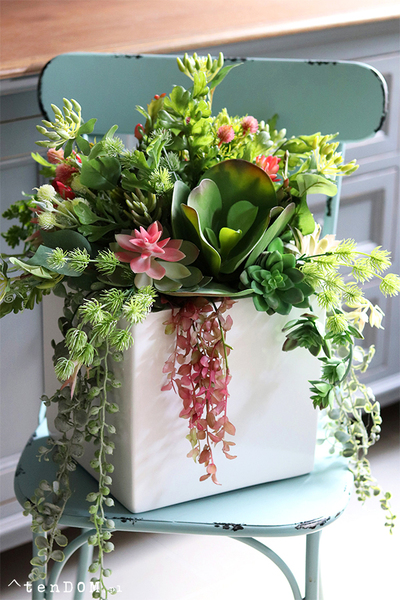 Concha Cacti, sukulenty w donicy fiberglass, wym.50x40cm