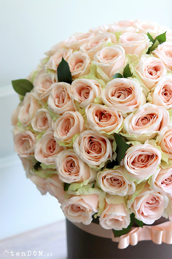 flowerbox 100 róż, Jubileo Prezenta, wys.58cm  