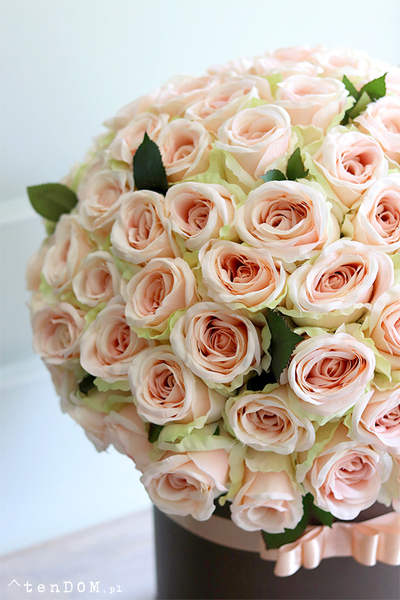 flowerbox 100 róż, Jubileo Prezenta, wys.58cm  