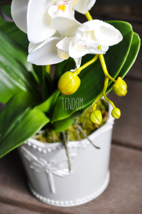 Dragonfly 2 sztuczny storczyk w bieli, szara donica wys. ok. 49cm 