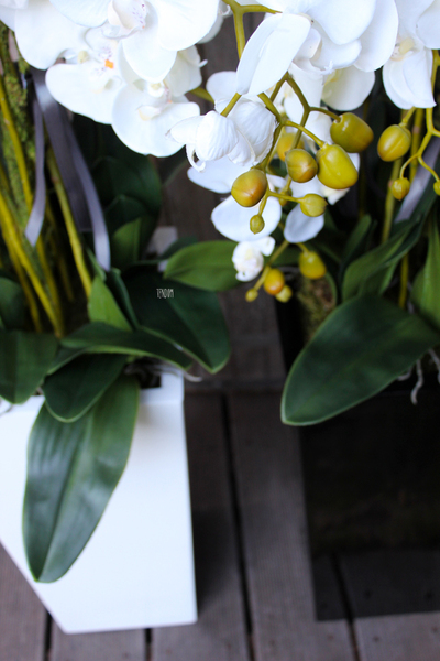 bardzo duży storczyk Home Design White Grande w donicy, wys.125cm 