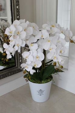 sztuczny storczyk w metalowym wiaderku do szampana, France, wys.78cm