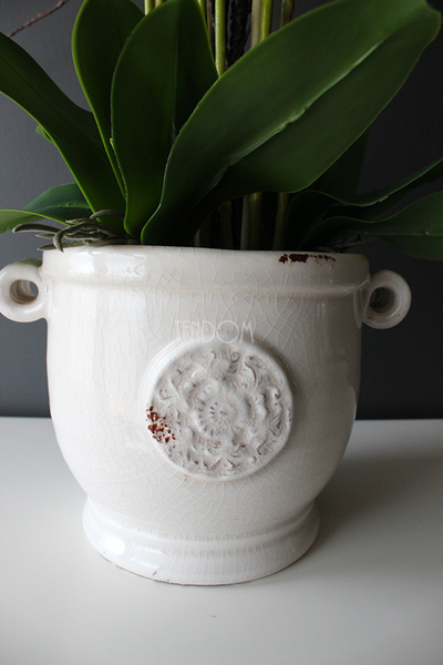 Prima kremowy storczyk w ażurowej donicy wys.66cm