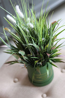 Alberta, flowerbox z traw i sukulentów w zielonym pudełku, wys.46cm