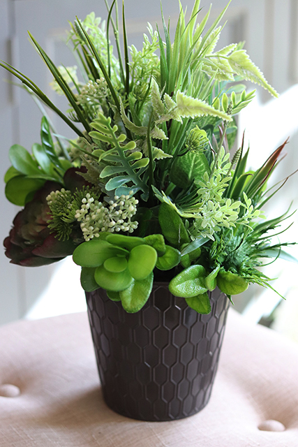 atrakcyjna kompozycja sukulenty Millani, wys.38cm