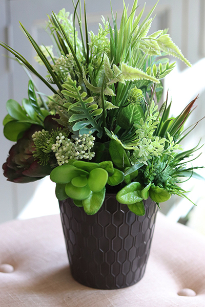 atrakcyjna kompozycja sukulenty Millani, wys.38cm