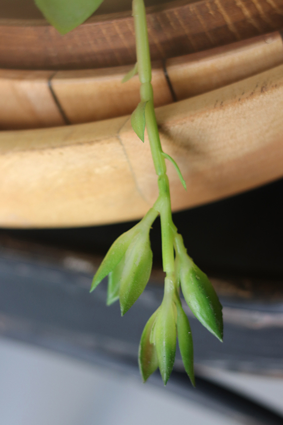 gumowa sztuczna roślina na gałązce, Sukulent 95, wym.23x20cm