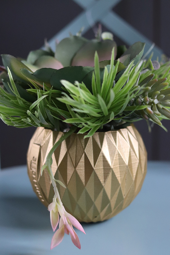 efektowna kompozycja sukulenty, Złoty Ramon, wys.19cm