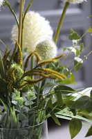 kompozycja z cymbydium w szklanym wazonie, Gerrasa Henalla, wys.80cm