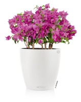 Classico, elegancka donica z nawadnianiem, biała, wym.33x35cm