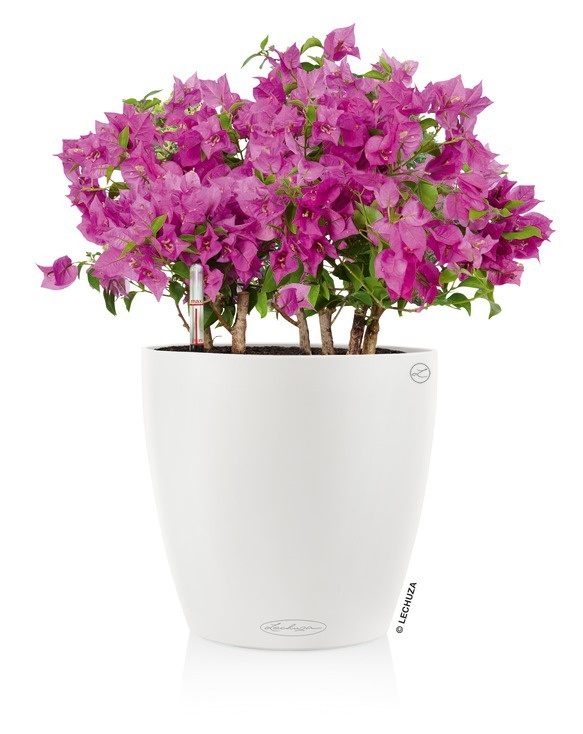 Classico, elegancka donica z nawadnianiem, biała, wym.33x35cm