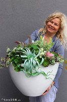 Cruzita Cacti Fiberglass, sukulenty w owalnej donicy, wys.62cm