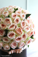 flowerbox 100 róż, Jubileo Prezenta, wys.58cm  