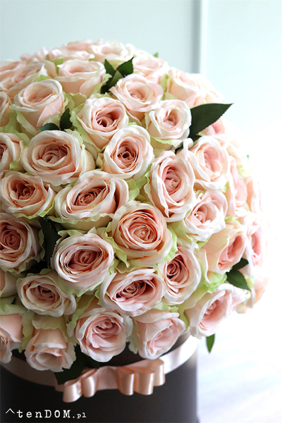 flowerbox 100 róż, Jubileo Prezenta, wys.58cm  