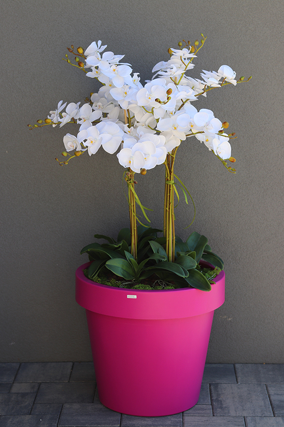 dużych rozmiarów storczyk podłogowy, Pink, wys.120cm 