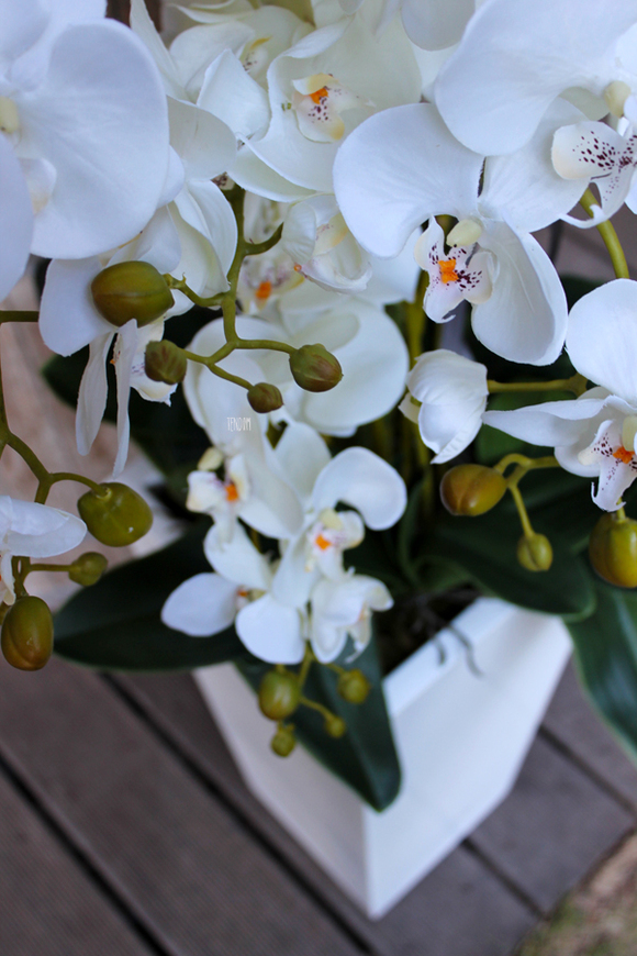 bardzo duży storczyk Home Design White Grande w donicy, wys.125cm 