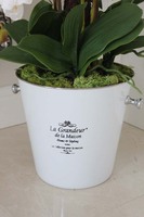 sztuczny storczyk w metalowym wiaderku do szampana, France, wys.78cm