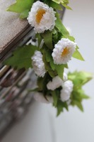 Dorothea komunijny wianek na głowę, rozmiar uniwersalny, dziecięcy