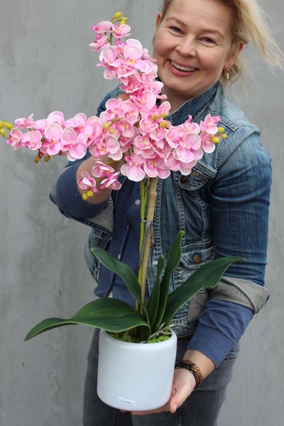 elegancki storczyk Girl w białej donicy, wys.45cm