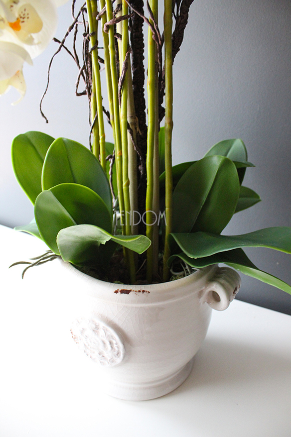 Prima kremowy storczyk w ażurowej donicy wys.66cm