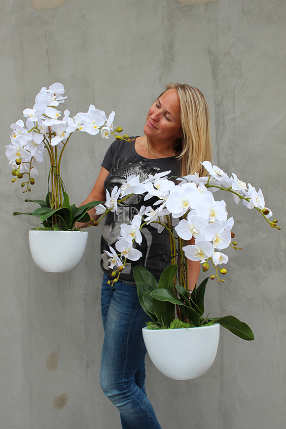 Cinderella Big, elegancki storczyk w białej donicy, wys.74cm