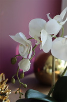 Bellina Mini Ecru, niewielki sztuczny storczyk, wys.35cm 