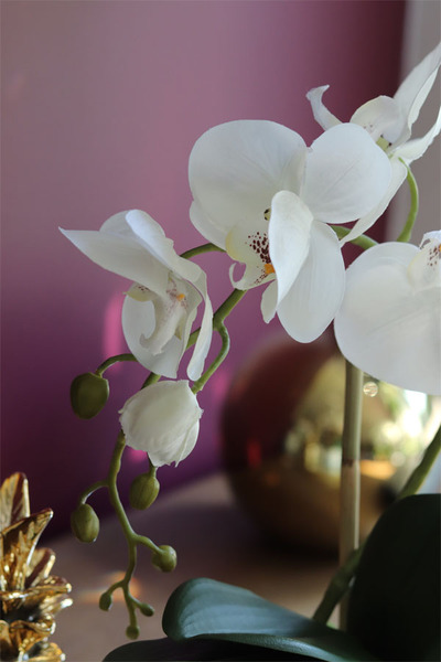 Bellina Mini Ecru, niewielki sztuczny storczyk, wys.35cm 