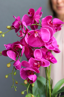 efektowny sztuczny storczyk, Ramona, wys.57cm