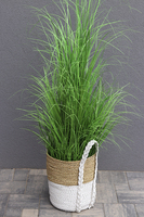 Mediolan Basket 2, sztuczna trawa w koszu, wys.145cm