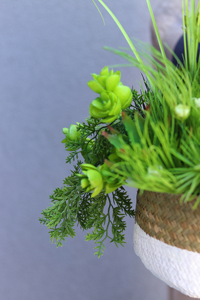 Pelona, kompozycja traw i sukulentów w koszu, wym.45x34cm