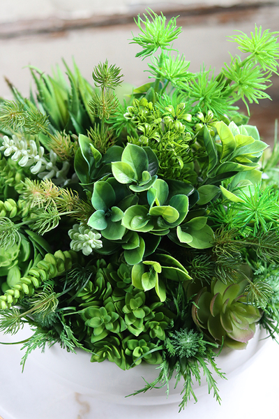 Herrano, kompozycja sukulenty w białej misie, wym.26x35cm