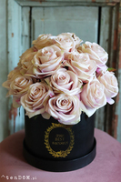 flowerbox z różami, Marchia, wys.30cm 