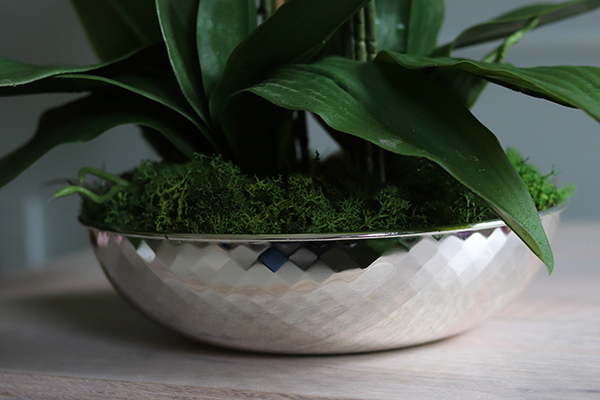 Leonardo, gumowy storczyk w lustrzanej misie, wys.55cm 