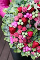 dekoracyjny wianek Fruits, śr.35cm