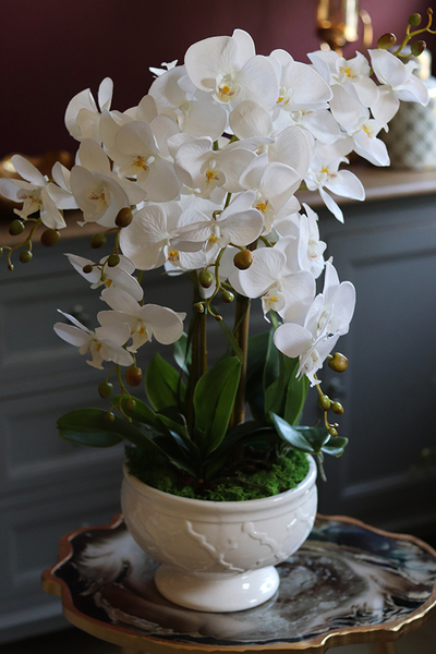 elegancki biały storczyk w ceramicznej donicy, Ronella, wys.64cm
