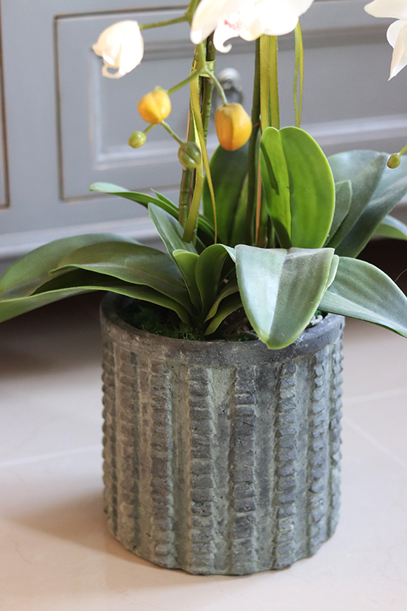 efektowny storczyk w cementowej donicy, Teofila, wys.72cm 