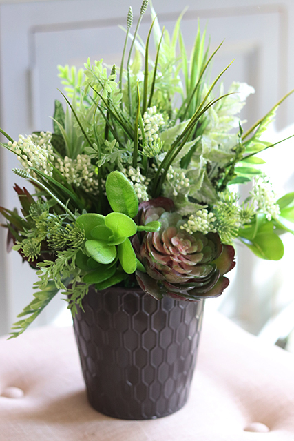 atrakcyjna kompozycja sukulenty Millani, wys.38cm