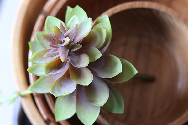 gumowa sztuczna roślina na gałązce, Sukulent 95, wym.23x20cm